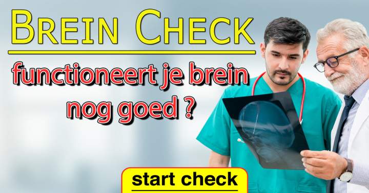 Brein Check