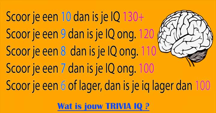Wat is jouw trivia IQ?