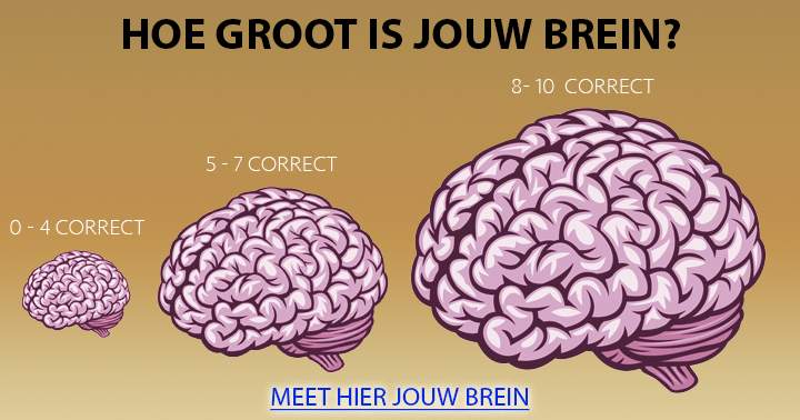 Doe deze quiz, en meet de grootte van jouw brein