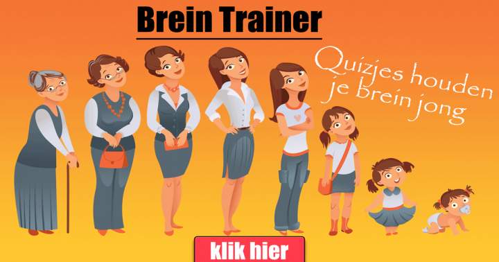 Brein Trainer