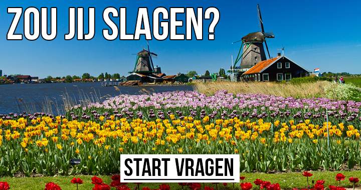 Banner for Zou jij slagen voor deze Nederlandse inburgeringscursus?