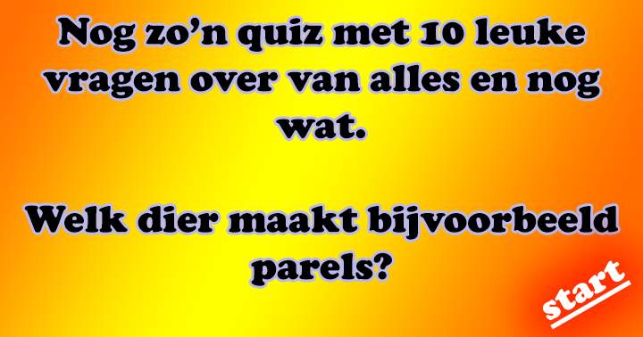 Banner for 10 quizvragen over van alles en nog wat