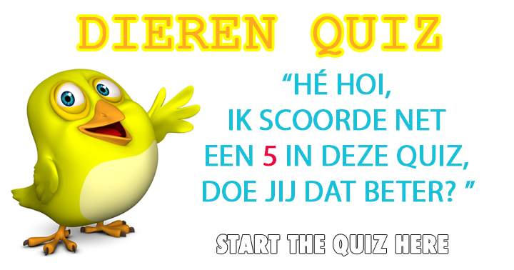 Banner for Wat weet jij van de dierenwereld?