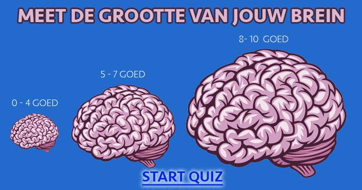 Meet de grootte van je hersenen aan de hand van deze quiz